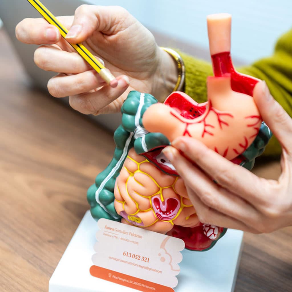 Descubre lo que te ofrece nuestra tienda ecológica en Pontevedra