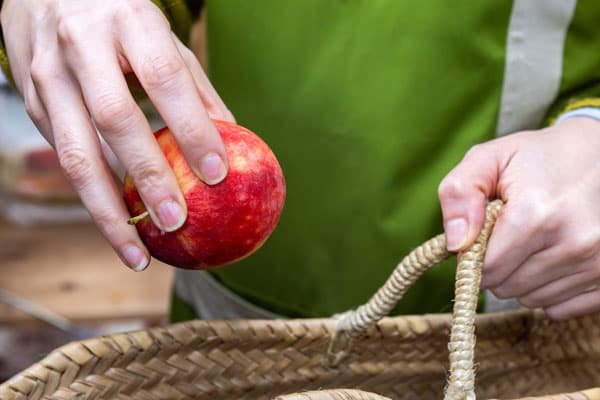 Una inversión en tu bienestar